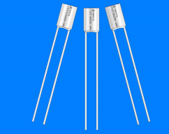 陶瓷圆柱温度保险丝 15A/16A /10A 250V