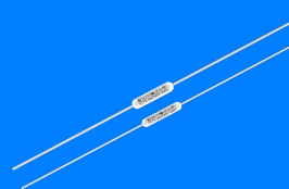 陶瓷温度保险丝2A/3A/5A 250V